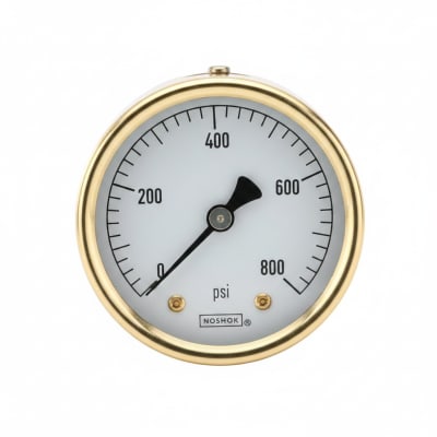 NOSHOK 25-310-100-PSI-SST-BT8