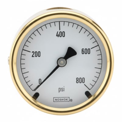 NOSHOK 25-310-100-PSI-SST-MIP-CC