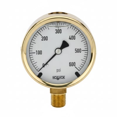 NOSHOK 25-300-800-PSI-CFF-MIP-BT8