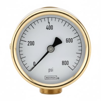 NOSHOK 25-310-100-PSI-SST-MIP-BFF
