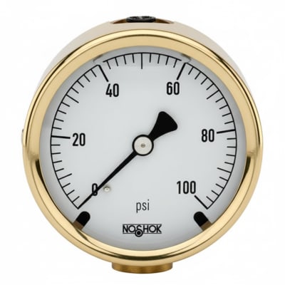 NOSHOK 25-310-1500-PSI-SST-BFF-BT8