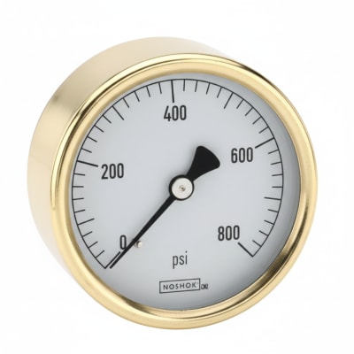 NOSHOK 25-310-100-PSI/KG/CM2-SST-CBU-CC