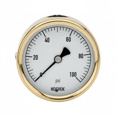 NOSHOK 25-310-1500-PSI-SST-MIP-CFF-BT8