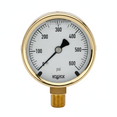 NOSHOK 25-310-1500-PSI-SST-BFF-CC