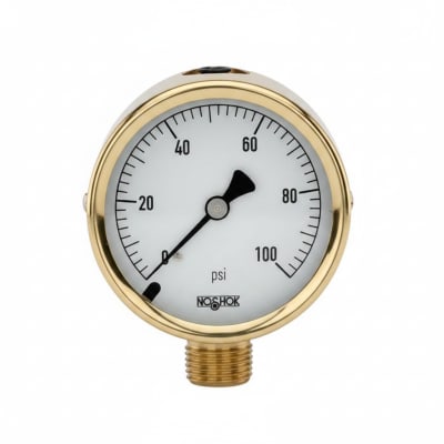 NOSHOK 25-310-1500-PSI-SST-MIP-BFF