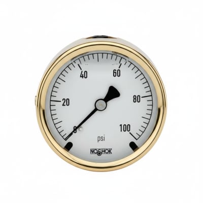 NOSHOK 25-310-1500-PSI-SST-CFF-BT8