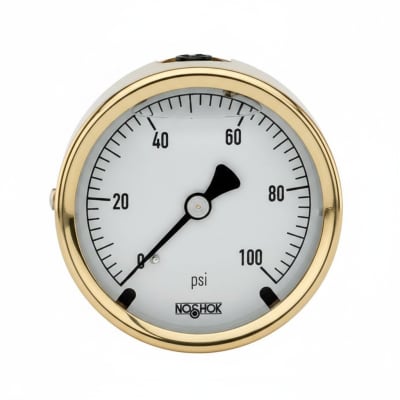 NOSHOK 25-310-1500-PSI-SST-MIP-BT8-CC
