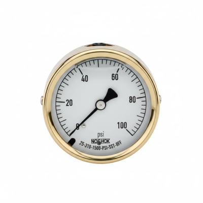 NOSHOK 25-310-1500-PSI-SST-BFF