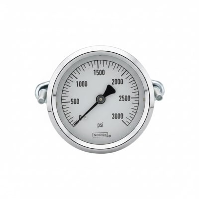 NOSHOK 25-310-1500-PSI-SST-CBU-BT8-CC