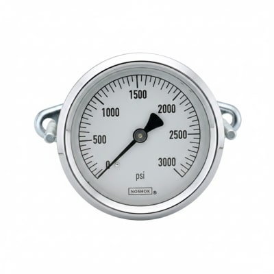 NOSHOK 25-310-100-PSI-SST-CFF-BT8-CC