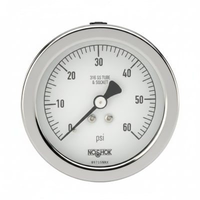 NOSHOK 25-310-100-PSI/BAR-SST-BT8