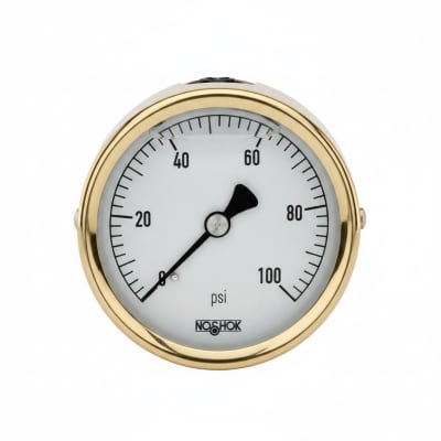 NOSHOK 25-310-1500-PSI-SST-MIP-CBU-BT8-CC