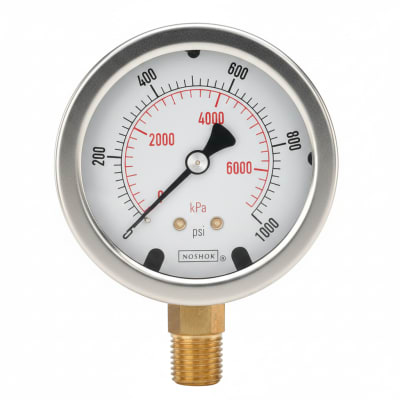 NOSHOK 25-310-1500-PSI/KG/CM2-SST-CBU