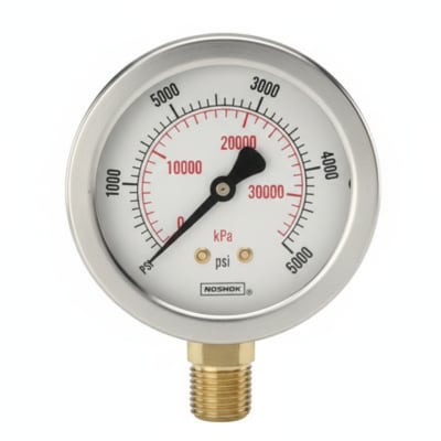 NOSHOK 25-310-1500-PSI/BAR-SST-CFF