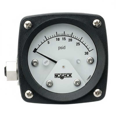 NOSHOK 25-310-160-PSI-SST-MIP-BFF-CC