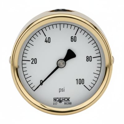 NOSHOK 25-310-1500-PSI-SST-BFF-BT8-CC