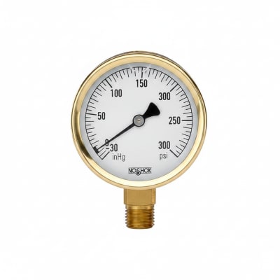 NOSHOK 25-310-160-PSI-SST-CFF-BT8-CC