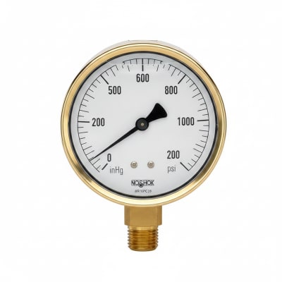 NOSHOK 25-310-160-PSI-SST-MIP-BFF-BT8