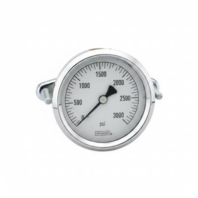 NOSHOK 25-310-1500-PSI-SST-MIP-BFF-BT8
