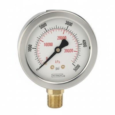 NOSHOK 25-310-1500-PSI/KPA-SST-CFF-CC