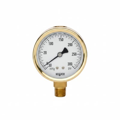 NOSHOK 25-310-160-PSI/BAR-SST-MIP-BT8-CC