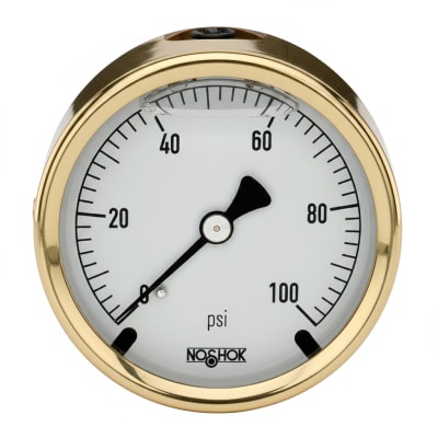 NOSHOK 25-310-160-PSI-SST-MIP-CFF-BT8-CC