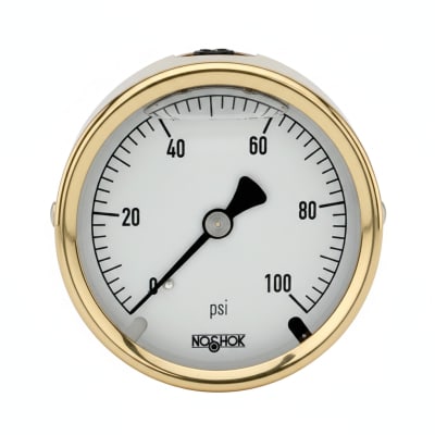 NOSHOK 25-310-1500-PSI-SST-MIP-BFF-CC