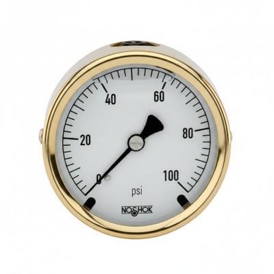 NOSHOK 25-310-160-PSI-SST-MIP-BT8-CC