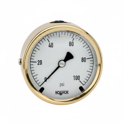 NOSHOK 25-310-160-PSI-SST-MIP-CFF-BT8