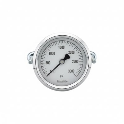 NOSHOK 25-310-1500-PSI/BAR-SST-CFF-BT8