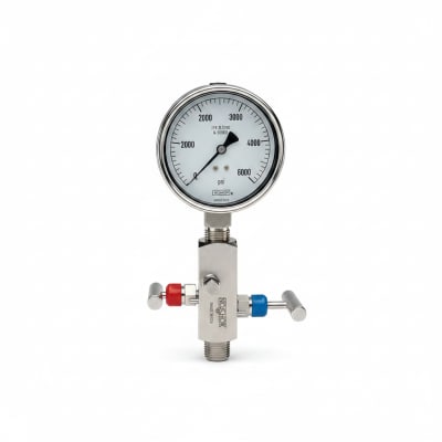 NOSHOK 25-310-160-PSI/KPA-SST-CC