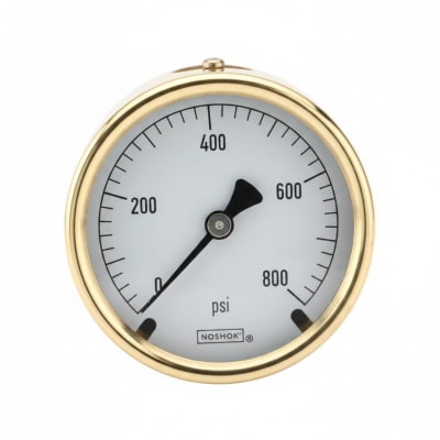 NOSHOK 25-310-160-PSI-SST-MIP-CFF-CC