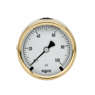 NOSHOK 25-310-200-PSI-SST-BFF-BT8-CC