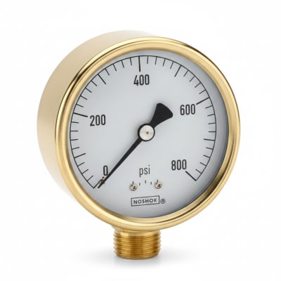 NOSHOK 25-310-160-PSI/BAR-SST-CC