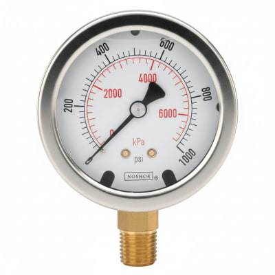 NOSHOK 25-310-200-PSI-SST-CC