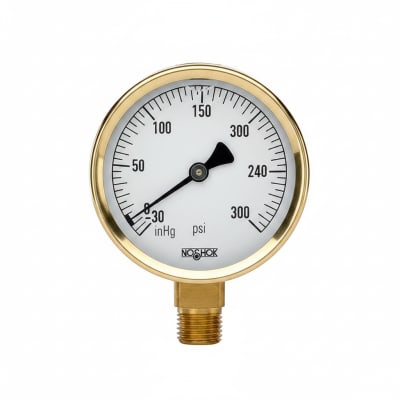 NOSHOK 25-310-160-PSI/KPA-SST-MIP