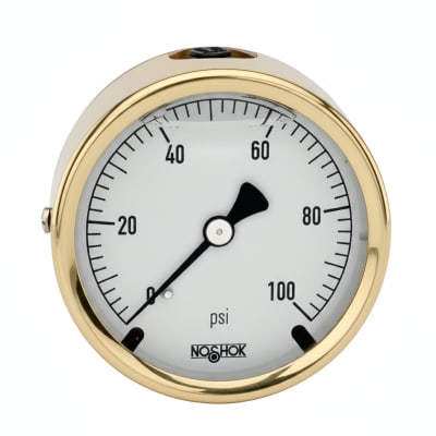 NOSHOK 25-310-200-PSI-SST-BT8-CC