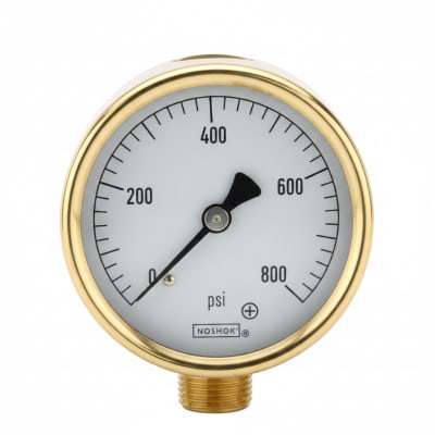 NOSHOK 25-310-200-PSI-SST-CBU