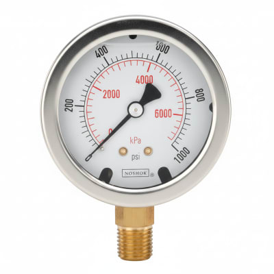 NOSHOK 25-310-200-PSI-SST-BFF-CC