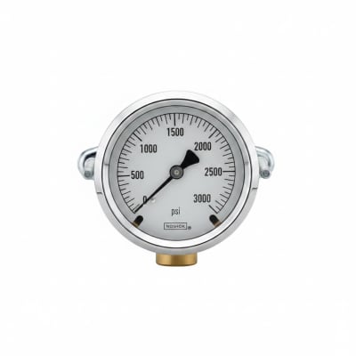 NOSHOK 25-310-160-PSI/KG/CM2-SST-MIP-CBU-BT8-CC
