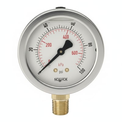 NOSHOK 25-310-200-PSI/KG/CM2-SST-MIP-BT8