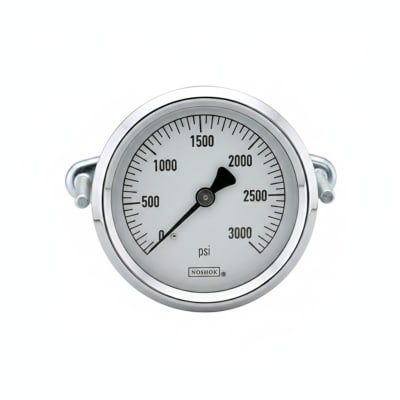 NOSHOK 25-310-200-PSI-SST-MIP-CBU