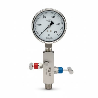 NOSHOK 25-310-160-PSI/BAR-SST-MIP-CFF-BT8-CC