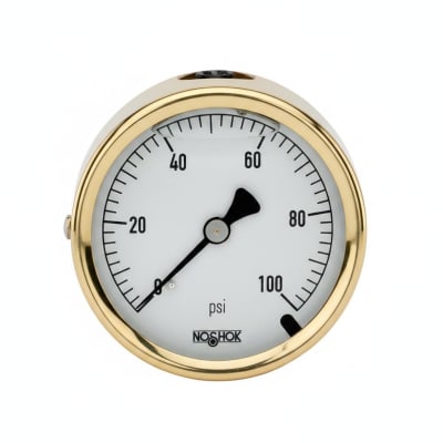 NOSHOK 25-310-2000-PSI-SST-BFF-CC