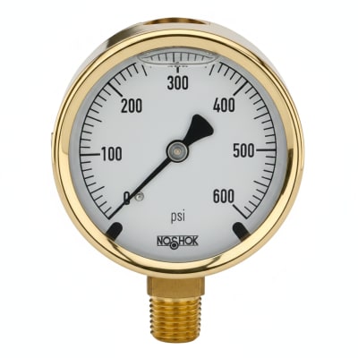 NOSHOK 25-310-200-PSI/KPA-SST-MIP