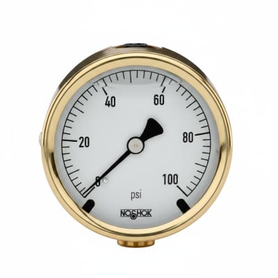 NOSHOK 25-310-200-PSI/KPA-SST-MIP-CFF