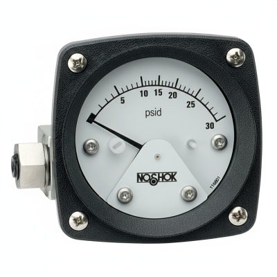 NOSHOK 25-310-2000-PSI-SST-MIP
