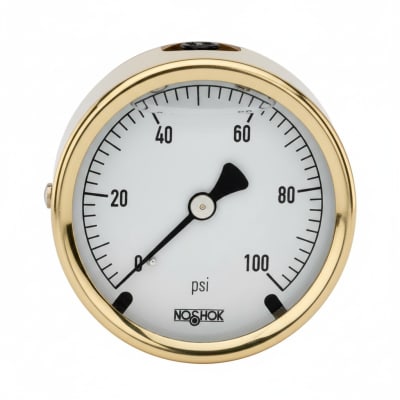 NOSHOK 25-310-200-PSI-SST-MIP-CFF-BT8