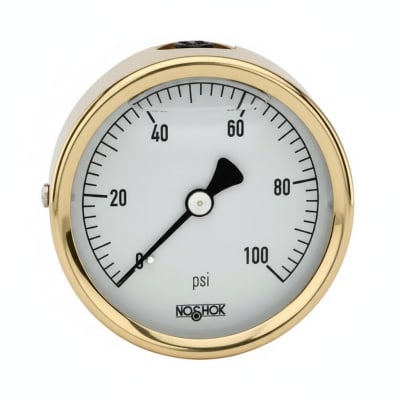 NOSHOK 25-310-2000-PSI/KPA-SST-BT8-CC
