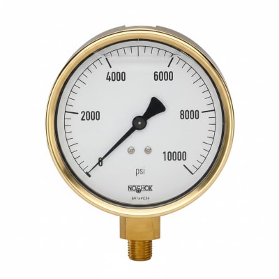 NOSHOK 25-310-2000-PSI-SST-MIP-BFF-BT8-CC